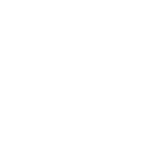 RBC Royal Bank - Logo