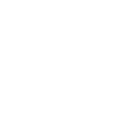 Steel n Ink - Logo