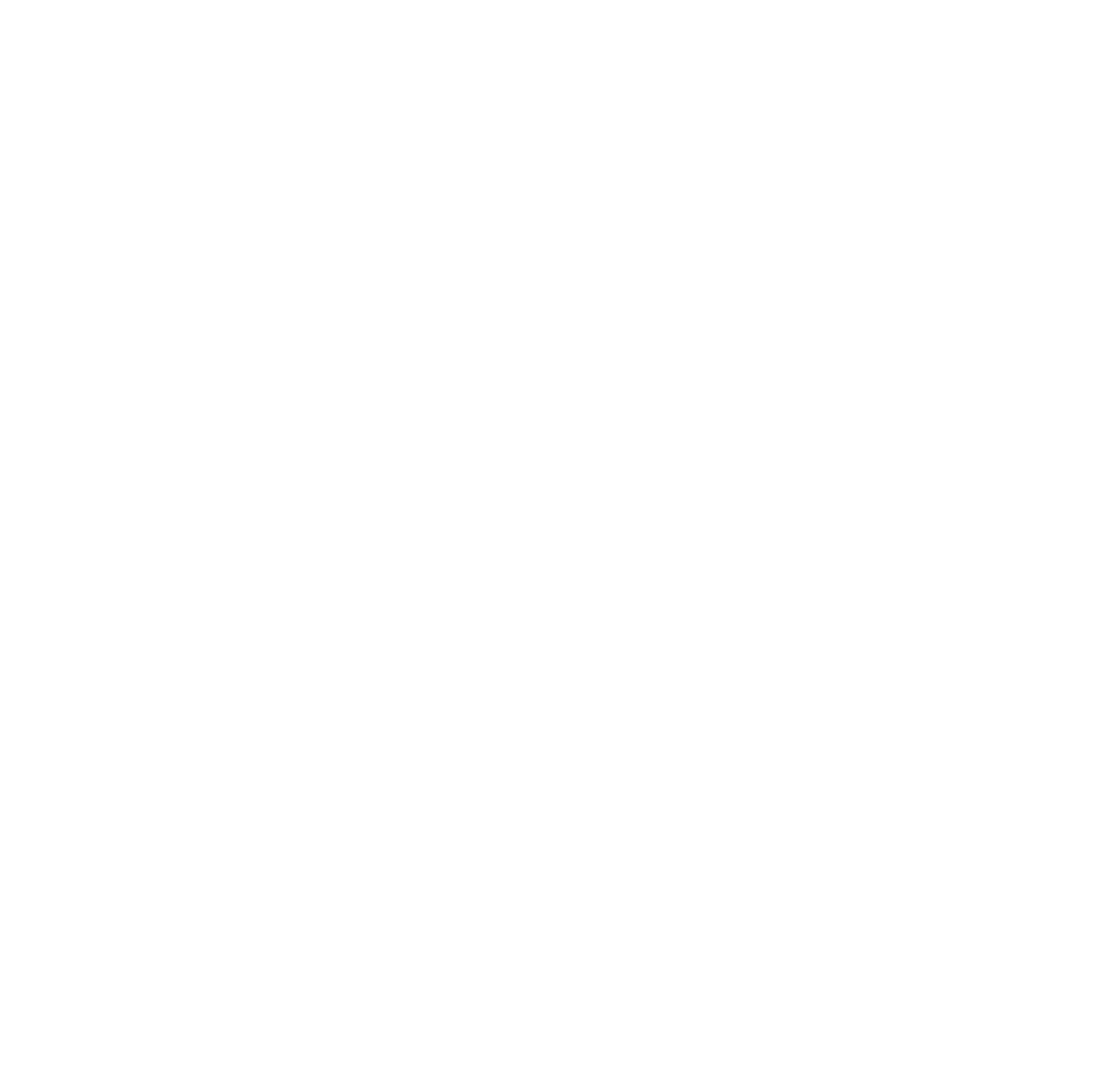 Steel n Ink - Logo