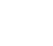 Lisa&#8217;s Perfect Ice Cream - Logo