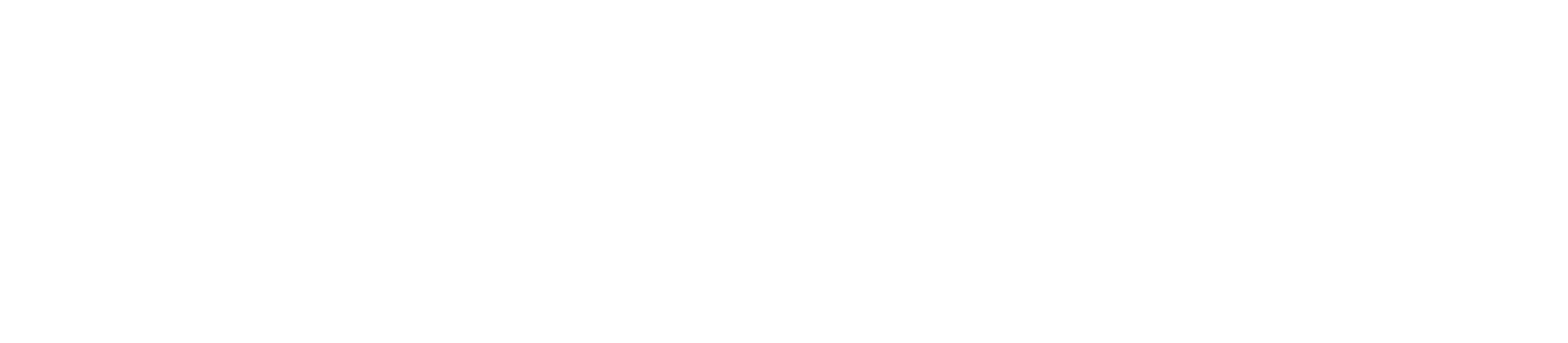 Noyaa - Logo
