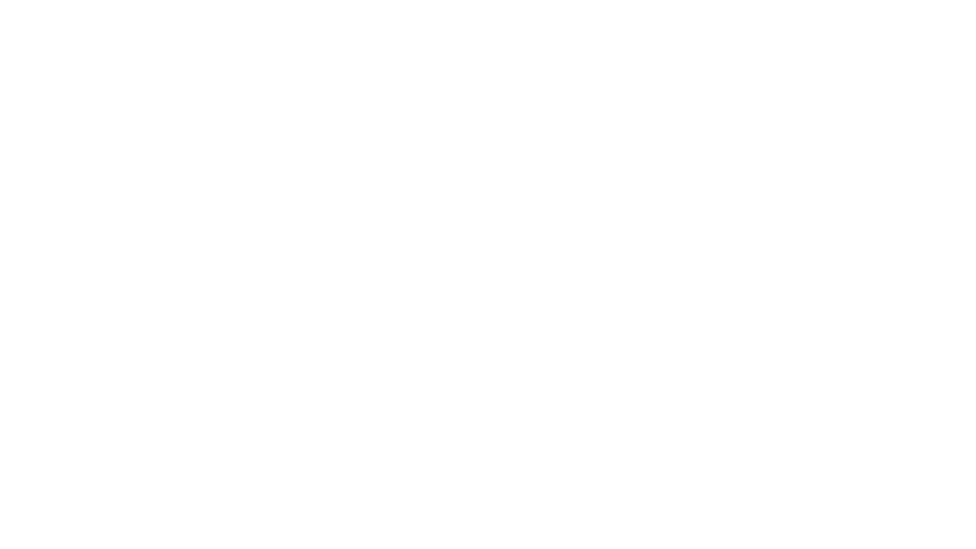 Petit Nordique Boutique - Logo