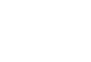 Baileys logo