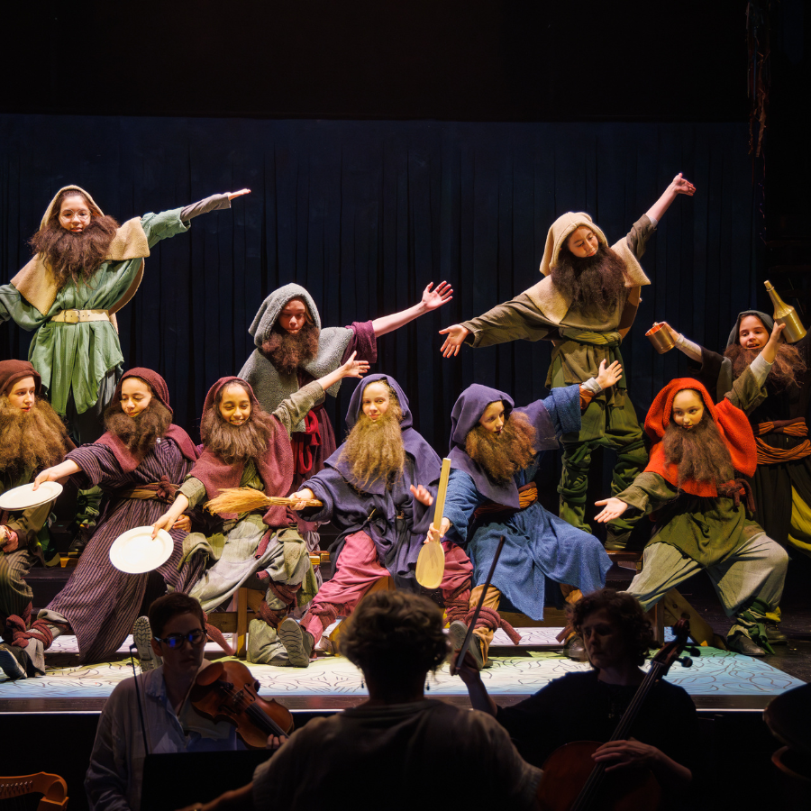 Canadian Children’s Opera Company in costumes performing.
