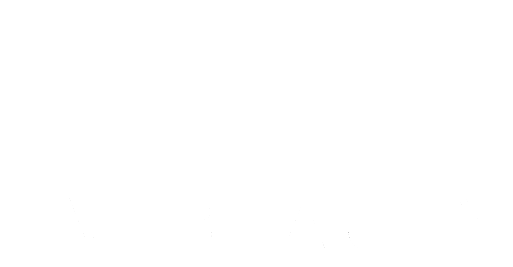 Skin Vault x Evi Beauty - Logo